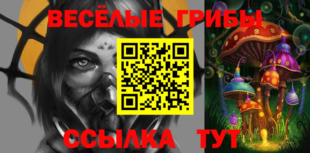 Керчь  Галлюциногенные грибы Psilocybine cubensis  как найти закладки  Вход с VPN 