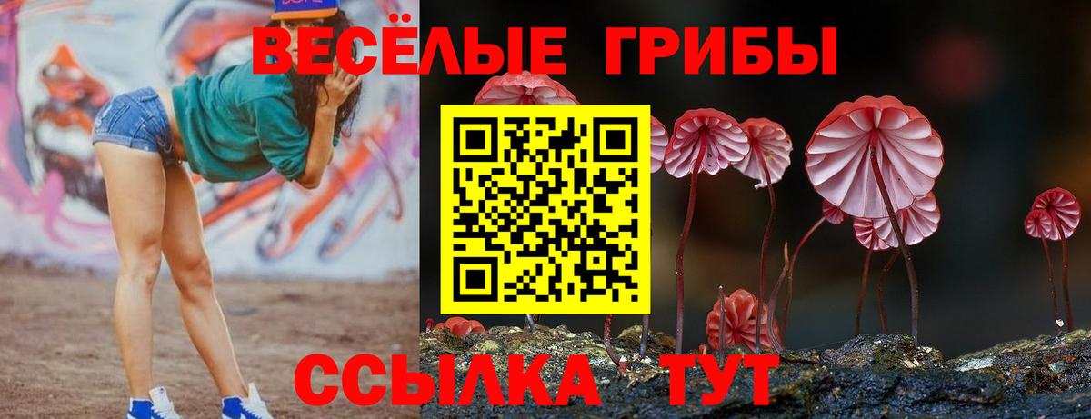 Псилоцибиновые грибы Cubensis Керчь